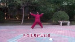 42太极剑——配乐：刀剑荡八方（杨恩喜演练）