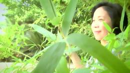 六一游石湖