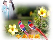 今生相爱